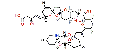 22-Desmethyl-3-hydroxy-azaspiracid